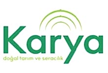 Nokta Art: Google Reklam - Sosyal Medya - SEO - Web Tasarım