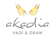 Nokta Art: Google Reklam - Sosyal Medya - SEO - Web Tasarım