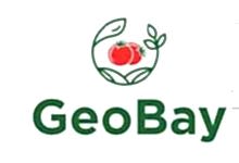 Nokta Art: Google Reklam - Sosyal Medya - SEO - Web Tasarım