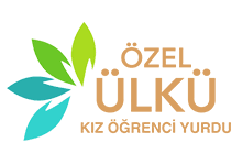 Nokta Art: Google Reklam - Sosyal Medya - SEO - Web Tasarım