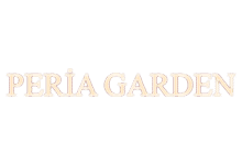 Nokta Art: Google Reklam - Sosyal Medya - SEO - Web Tasarım
